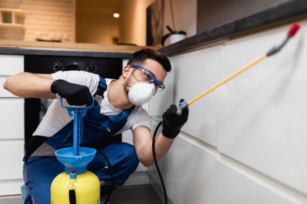 Best Residential Pest Control  in Underwood Petersville, AL