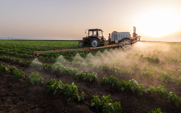 Best Commercial Pest Control Services  in Underwood Petersville, AL