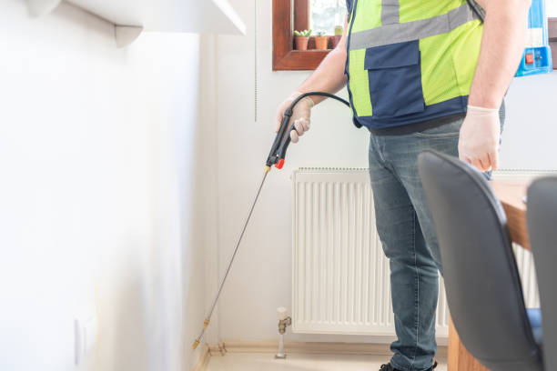 Professional Pest Control in Underwood Petersville, AL
