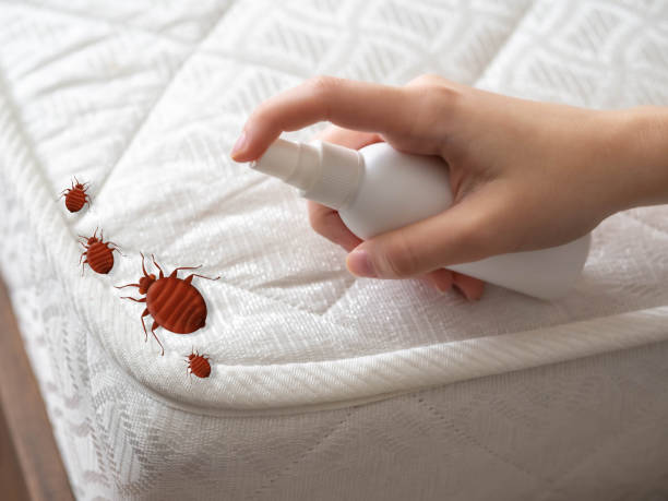Best Wildlife Control Services  in Underwood Petersville, AL