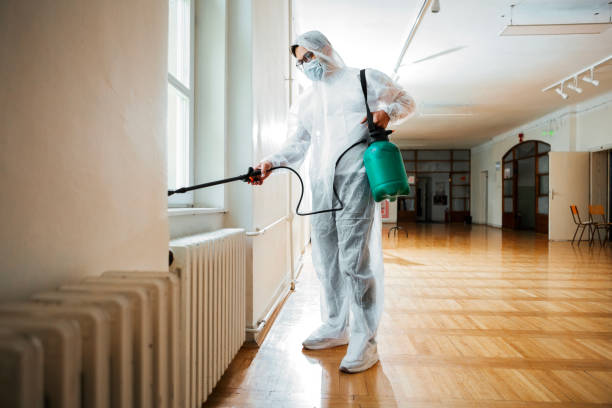 Best Pest Prevention Services  in Underwood Petersville, AL