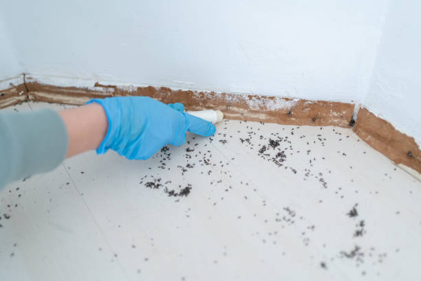 Pest Control for Restaurants in Underwood Petersville, AL