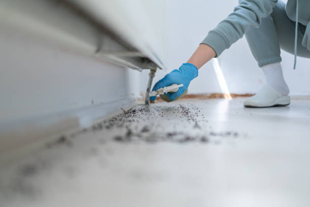 Best Pest Control Near Me in Underwood Petersville, AL