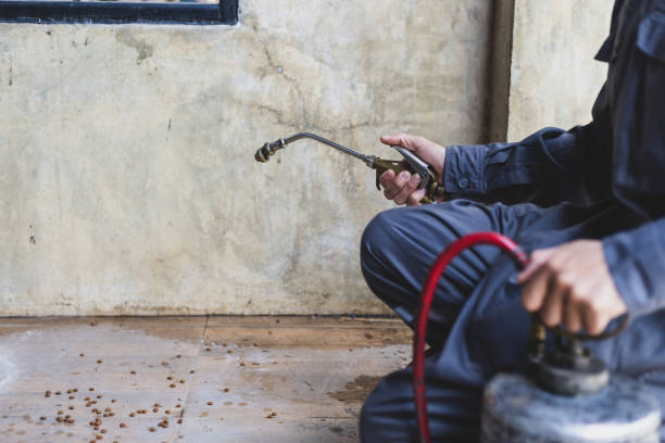 Best Flea Control Services  in Underwood Petersville, AL